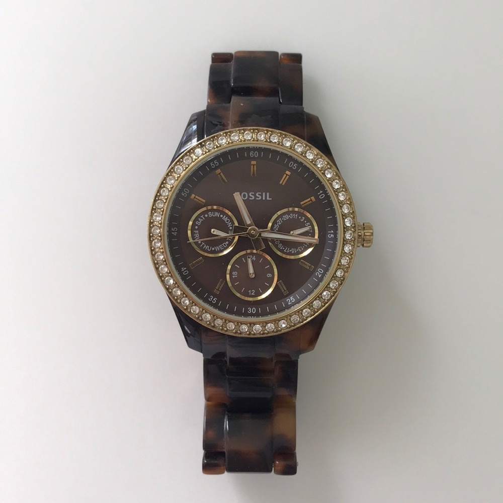 Tortoise Fossil Watch